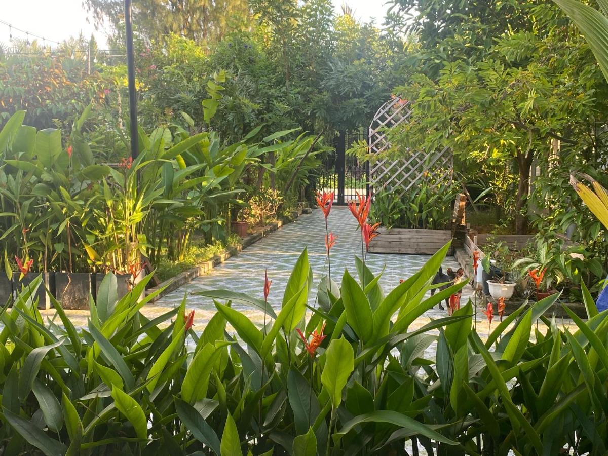 Laoxao Homestay Хойан Экстерьер фото